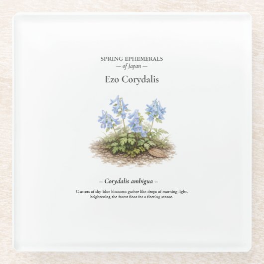 Spring Ephemerals of Japan – Ezo Corydalis ガラスコースター (正面)