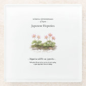 Spring Ephemerals of Japan – Japanese Hepatica ガラスコースター (正面)