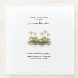 Spring Ephemerals of Japan – Japanese Hepatica ガラスコースター