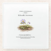 Spring Ephemerals of Japan – Kikuzaki Anemone ガラスコースター (正面)