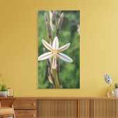 Spring flora South Africa Canvas Print キャンバスプリント (インサイチュ (リビング))