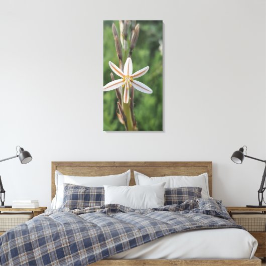 Spring flora South Africa Canvas Print キャンバスプリント (インサイチュ (寝室))