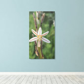 Spring flora South Africa Canvas Print キャンバスプリント (インサイチュ (ウッドフロア))