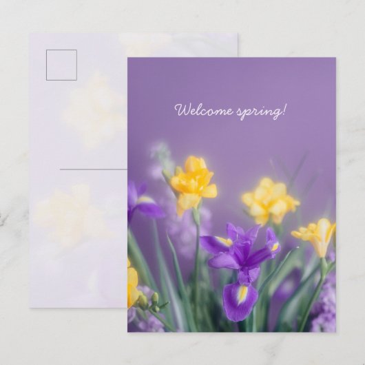 Spring Floral Greeting, pastel aesthetic ポストカード (正面/裏面)