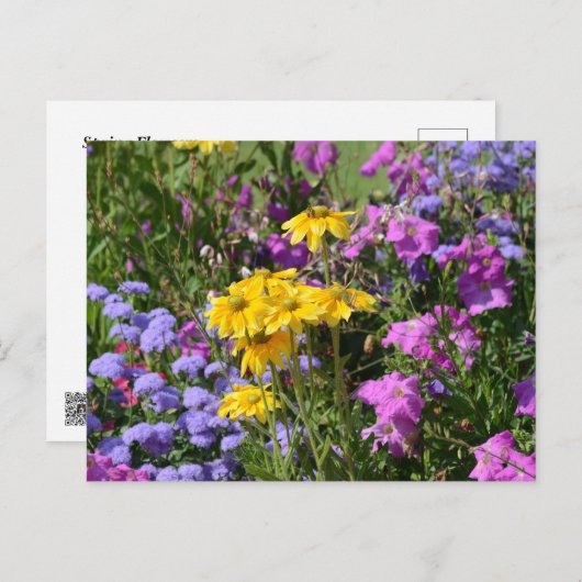 Spring flowers ポストカード (正面/裏面)