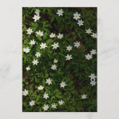 Spring flowers for Earth Day Card (正面)