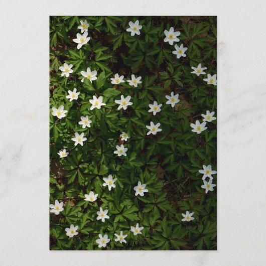 Spring flowers for Earth Day Card (正面)