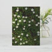 Spring flowers for Earth Day Card (スタンド正面)