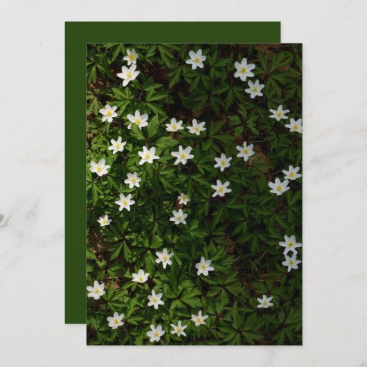 Spring flowers for Earth Day Card (正面/裏面)