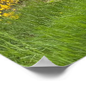 Spring forest in Luxembourg travel ポスター (角)