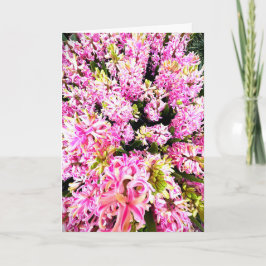 Spring Hyacinth Blank Card 招待状