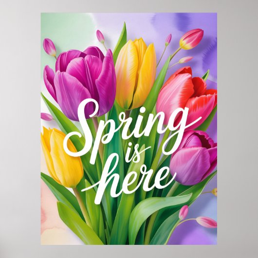 "Spring is Here" Tulip Bouquet Illustration ポスター (正面)