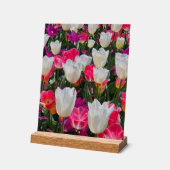 Spring is in Bloom アクリルサイン (傾斜)