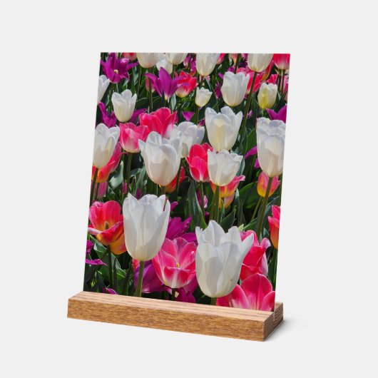 Spring is in Bloom アクリルサイン (傾斜)