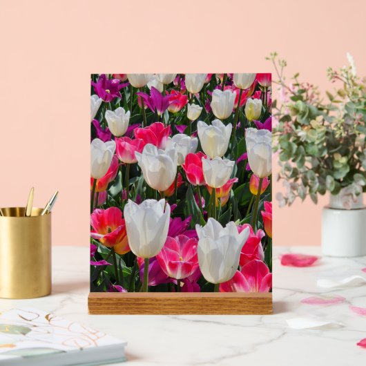 Spring is in Bloom アクリルサイン (ウェディング)