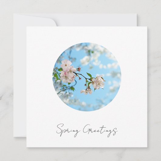 Spring Is in the Air -  シーズンカード (正面)