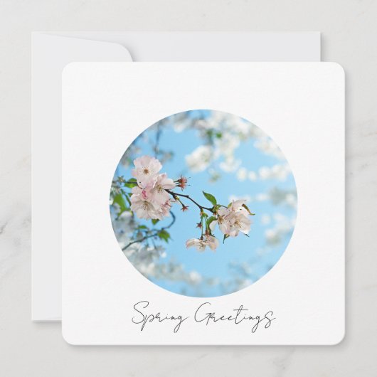 Spring Is in the Air シーズンカード (正面)