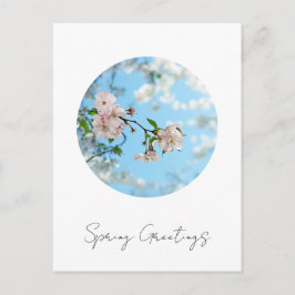 Spring Is in the Air -  シーズンポストカード