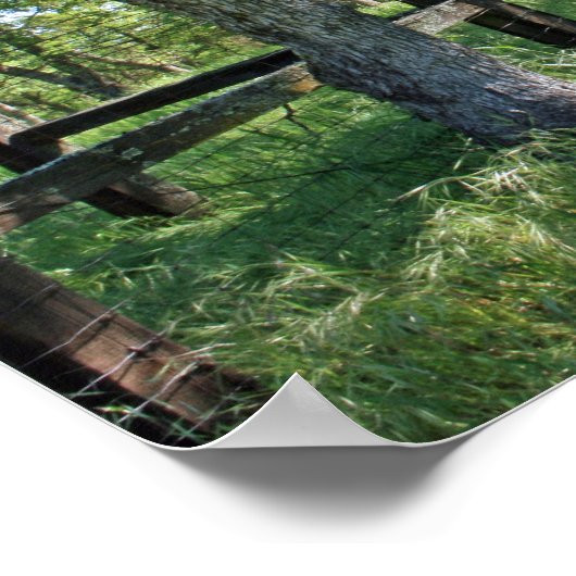 "Spring Meadow" ポスター (角)