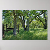 "Spring Meadow" ポスター (正面)