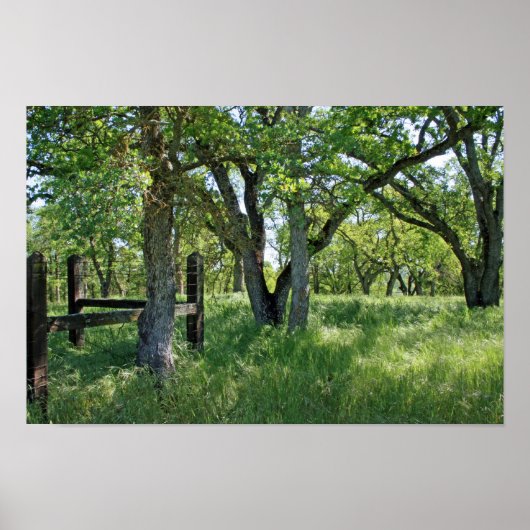 "Spring Meadow" ポスター (正面)