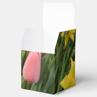 spring pink tulip and yellow daffodil flowers フェイバーボックス