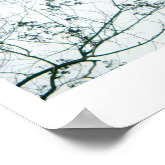 Spring Reach-Out/Cherry Blossoms Photo-Print ポスター (角)