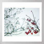 Spring Reach-Out/Cherry Blossoms Photo-Print ポスター (正面)