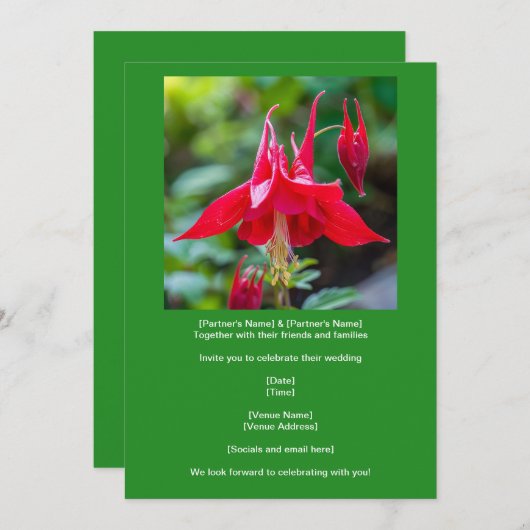 Spring Red Columbine Native Flower on Green  招待状 (正面/裏面)
