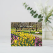 Spring Season Flower Garden Get Well Soon ポストカード (スタンド正面)