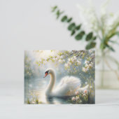 Spring Swan Swimming On Lake Blossoms ポストカード (スタンド正面)