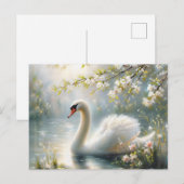 Spring Swan Swimming On Lake Blossoms ポストカード (正面/裏面)