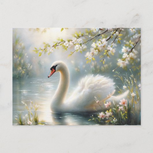 Spring Swan Swimming On Lake Blossoms ポストカード (正面)