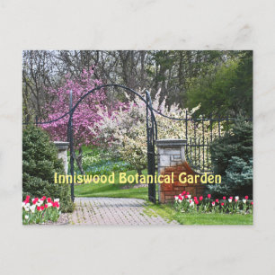 「SPRING TIME AT INNISWOOD」 (オハイオ州WESTERVILLE) ポストカード