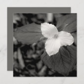 Spring Trillium Black and White  ノートカード (正面/裏面)