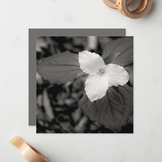 Spring Trillium Black and White  ノートカード (正面/裏面インサイチュ)