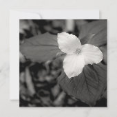 Spring Trillium Black and White  ノートカード (正面)
