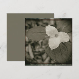 Spring Trillium Collodion Filter ノートカード