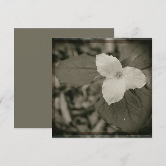 Spring Trillium Collodion Filter ノートカード (正面/裏面)