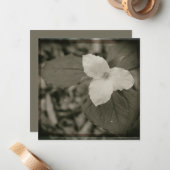Spring Trillium Collodion Filter ノートカード (正面/裏面インサイチュ)
