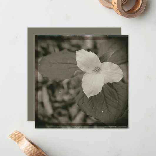 Spring Trillium Collodion Filter ノートカード (正面/裏面インサイチュ)