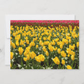 Spring Tulip Bridal Shower Invitation 招待状 (裏面)