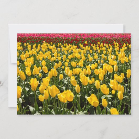 Spring Tulip Bridal Shower Invitation 招待状 (裏面)