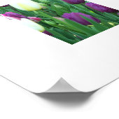 Spring Tulips Floral Photographic ポスター (角)