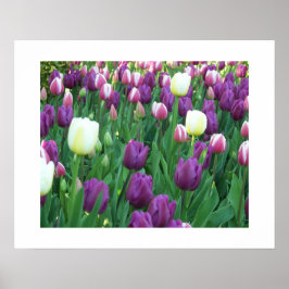 Spring Tulips Floral Photographic ポスター
