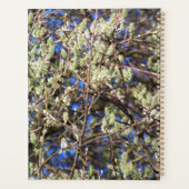 SPRING WILLOW プランナー手帳 (裏面)