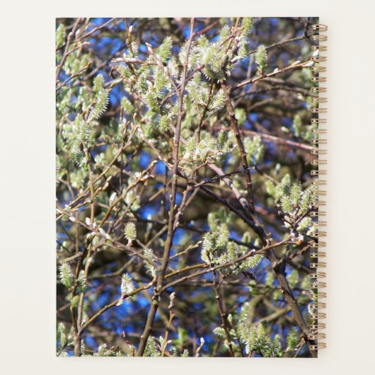 SPRING WILLOW プランナー手帳 (裏面)