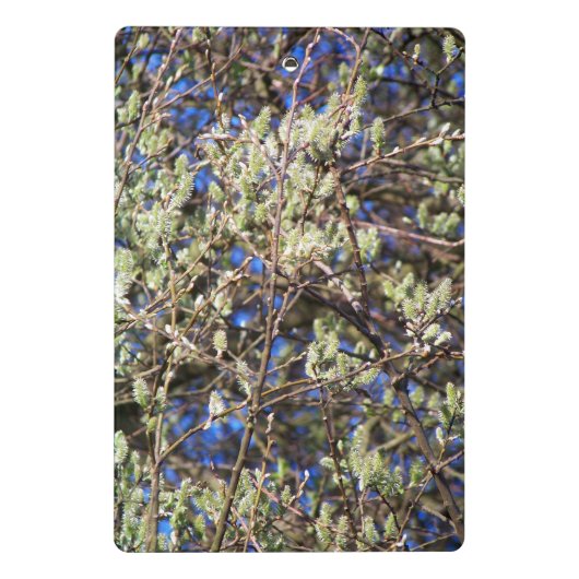 SPRING WILLOW ミニクリップボード (裏面)