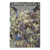 SPRING WILLOW ミニクリップボード (正面)