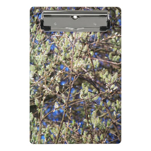 SPRING WILLOW ミニクリップボード (正面)